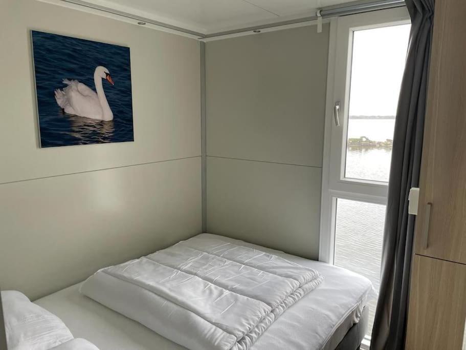 Hotel Houseboot Cormorant, Lake View Biddinghuizen Exterior foto